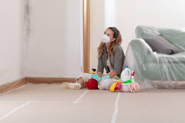 Reliable Black Mold Removal contractor in Boerne, TX by WQB Mold Removal